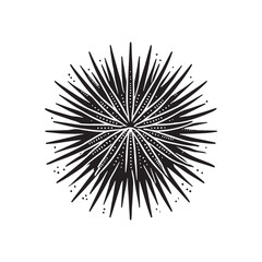 Naklejka premium Black Color Sea Urchin silhouette design Vector Illustration, Solid White Background (16).eps