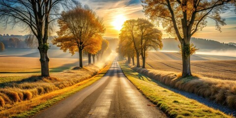 Fototapeta premium Serene autumn sunrise illuminates a picturesque country road lined with golden trees and mist-shrouded fields.