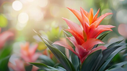 Vibrant Red Bromeliad Flower Blooming in Tropical Foliage with Blurred Background