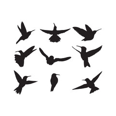 Set of Silhouettes of Birds Vector