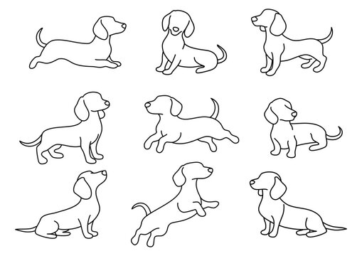 A set of dachshunds. Dog silhouettes. Outline. Line art.