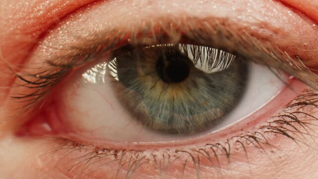 Eye shadow makeup to the upper eyeliner, close-up. Makeup artist applies a bright eye shadow with a makeup brush.Tutorial master class of professional makeup. 
