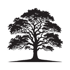 Majestic Oak Tree silhouette with detailed branches and leaves - Oak tree silhouette - Oak tree vector - Oak tree illustration - Oak silhouette - Oak vector
