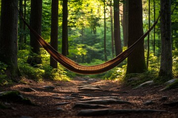 Tranquil hammock suspended between trees in a lush, sunlit forest