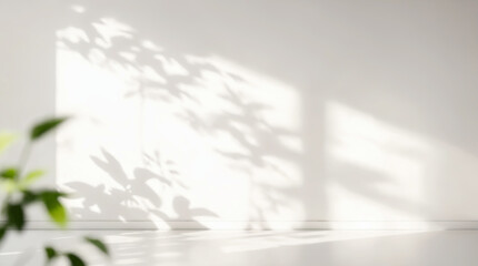 Minimalistic light background with blurred foliage shadow on white wall