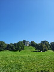 Park in the summer
