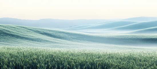Lush green wheat field glistening with fresh dew under soft sunrise light and rolling hills in misty spring landscape with empty text space