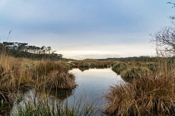 L’étang de Trunvel en hiver reflète les nuances d’un ciel bleu clair, avec une nature endormie tout autour.