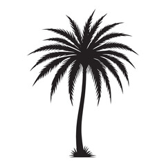 Obraz premium Palm Tree silhouette with detailed foliage for creative visuals - Palm tree silhouette - Palm tree vector - Palm tree illustration - Palm silhouette - Palm vector 