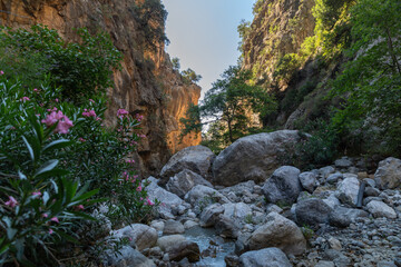 Sarakinas Gorge close to Mythoi village, about 20 km west of Ierapetra town, Lasithi prefecture. Crete, Greece