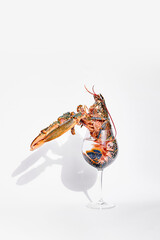 Live European lobster balancing in a wine glass on a white background. Conceptual seafood photography with dramatic lighting and shadows