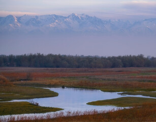 Landscape with red autumn grass in a marshy area with mountains in the background