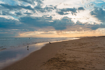Sunset over a quiet beach with seagulls and dramatic clouds.