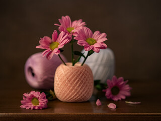 Крупный план фиолетовой хризантемы на темном фоне