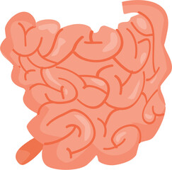 small intestine icon