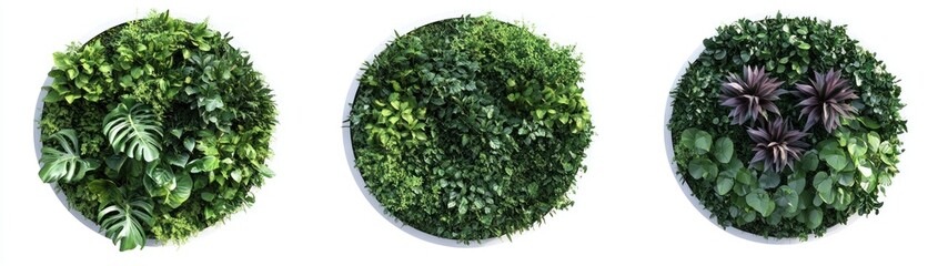 Obraz premium Three Circular Living Walls Display Diverse Greenery