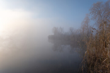 Fototapeta premium Sunrise over foggy lake. Dry autumn reeds in the foreground on the lake coast.