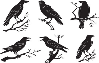 Variant style of crow silhouette vector illustration, isolated on a white background.