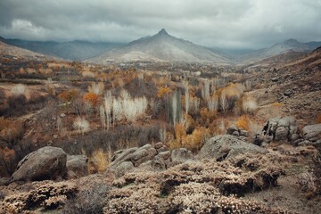 
A view of a forested mountain landscape