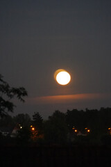 Blurry yellow moon with a shiny cloud and a silhouette of a hill with trees on the bottom of the image and purple background