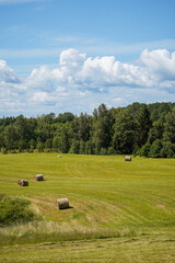 Bright cut down meadow with few hay bales, forest in the background and bright blue © Anna