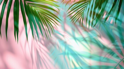Abstract Summer Palm Leaf Shadows on Light Geometric Background