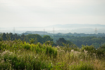 Flowers in a beautiful meadow with light blue hills and an power line in the background after midsummer, North Rhine-Westphalia, Germany