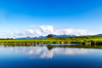 Fototapeta premium Breath-taking views of open green pastures and the distant Tsitsikamma Mountain with reflection in the Storms River, Blue Lilies Bush, South Africa.