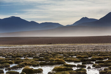 Northern Chile