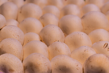 Fresh mushrooms neatly arranged on a farmer's market stall, showcasing plump, white champignons. The vibrant display highlights healthy, organic produce, perfect for nutritious meals.