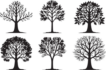 Obraz premium Natural winter tree silhouettes, without leaves vector illustration design, isolated on a white background.