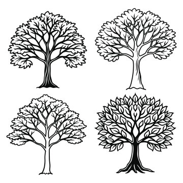 Simple Ravinala Tree Silhouette in Vector Style