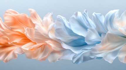 Abstract Pastel Flower Petals