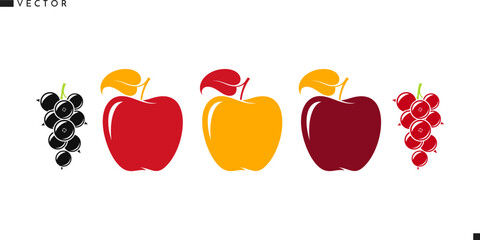 Bright apples with redcurrant and blackcurrant. Fresh fruit vector illustration 