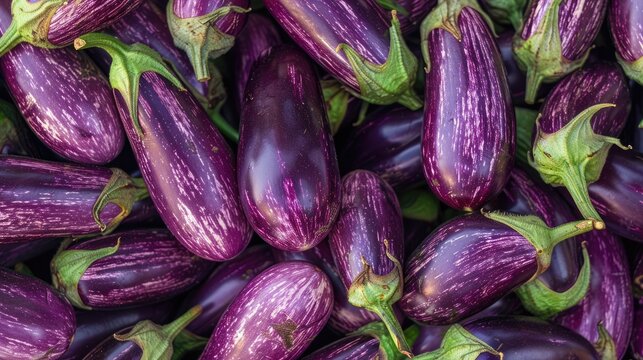 Top view of pile of purple eggplants