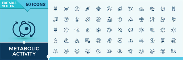 Metabolic Activity icon set. Containing nutritionist, calorie, protein, fiber, energy, food, detox and more. Simple line vector. Solid line editable stroke. Vector line and solid icons.