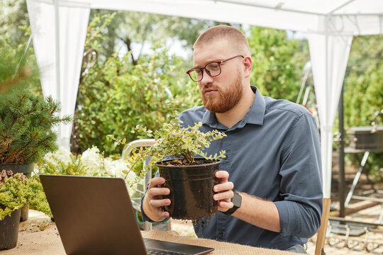 Medium shot of male landscape designer joining online meeting with colleague demonstrating pot with decorative shrub while collaboratively planning garden project sitting at table outdoors