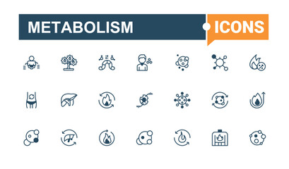 Metabolism icons set in linear style. Contains such icons as diet, health, carbohydrate, nutrition, scale, fat and more. Web icons. Solid line editable stroke. Vector line and solid icons.