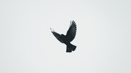 Obraz premium Silhouette of a bird in flight against a light gray background.