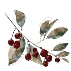 cherries on a white