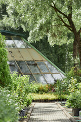 Background shot of garden stone path leading to greenhouse in plant nursery immersed in lush summer greenery under bright sunlight, copy space