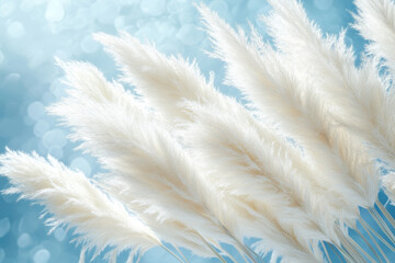 Elegant pampas grass arrangement on soft pastel background for bohemian decor, interior design, weddings, natural styling, and minimalist home accents