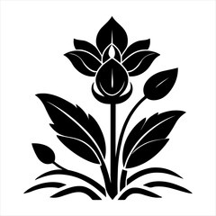 black and white flower