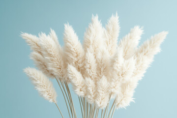Naklejka premium Soft pampas grass bouquet on pastel background, ideal for boho decor, home styling, wedding arrangements, natural interiors, and minimalist aesthetics