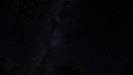 night starscape in the countryside