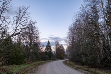 A rural landscape with a dirt road curving
