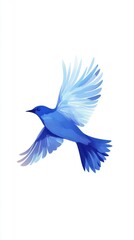 Fototapeta premium A Blue Bird In Flight Soaring Gracefully