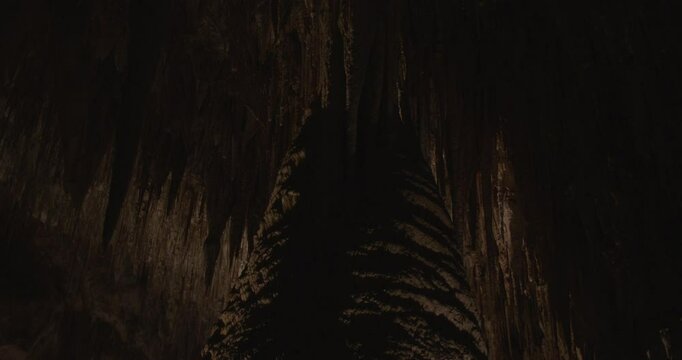 Carlsbad Caverns Column Ceiling