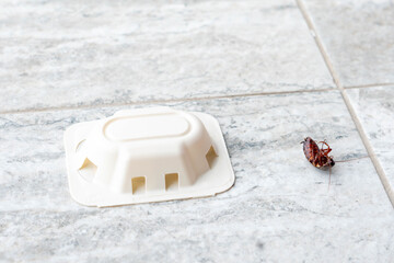 Cockroach infestation shown near a bait trap indoors