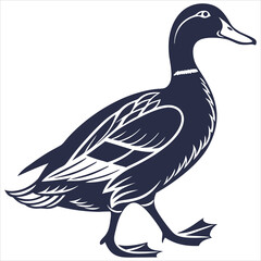silhouette duck image on white background